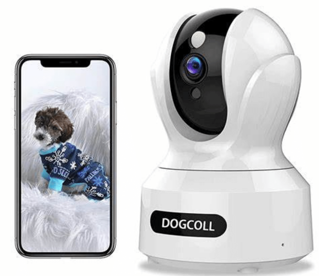 The best pet cameras for dog owners PetBlogg