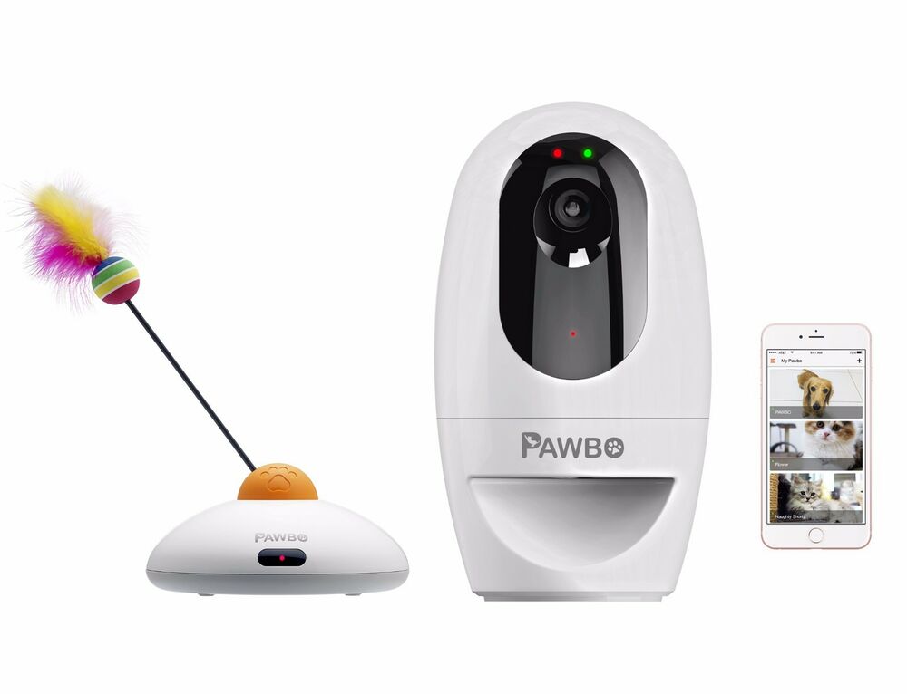 The best pet cameras for dog owners PetBlogg